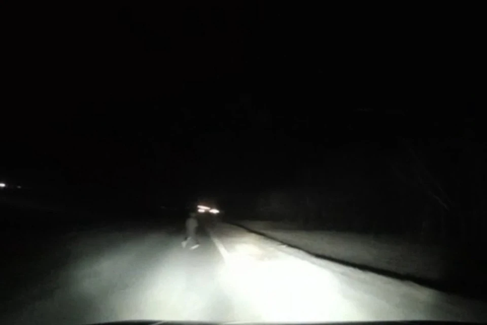 Фото: УГИБДД по Брянской области.