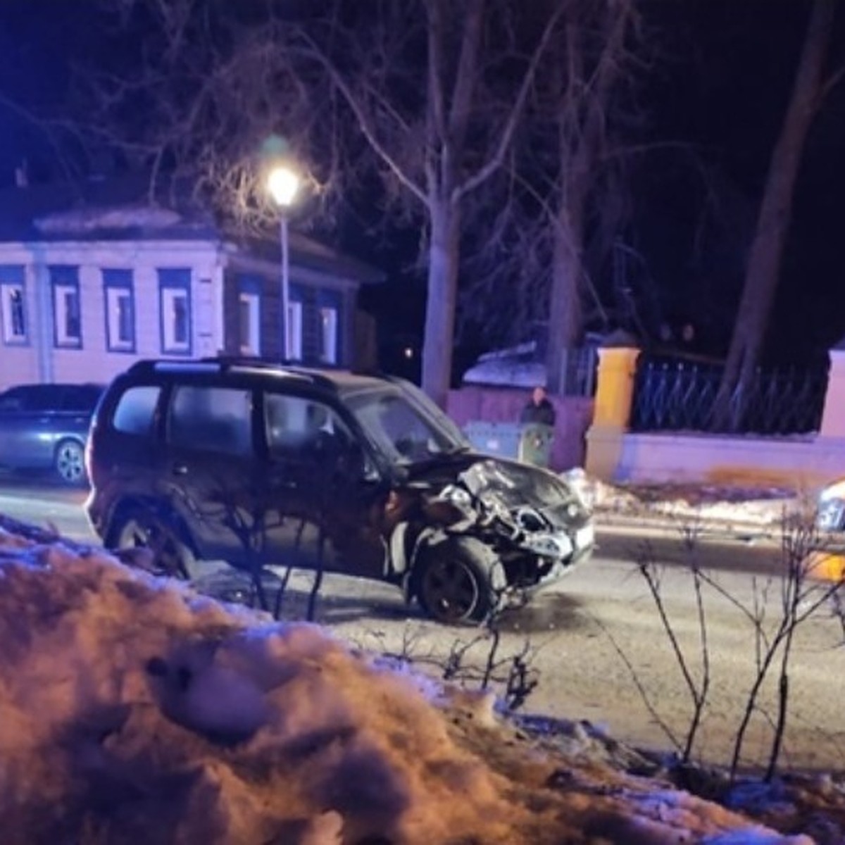 В Суздальском ДТП с автомобилем и конной повозкой пострадали две семьи -  KP.RU