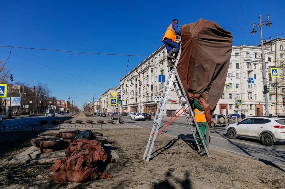 370 деревьев на Московском проспекте смогли пережить зиму в Петербурге. Фото: vk.com/vponidelko