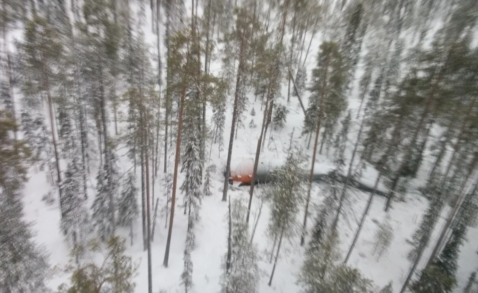 Фото: пресс-служба Минприроды Коми