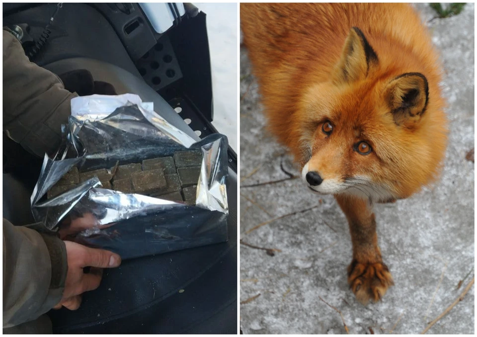 Фото: нацпарк "Зигальга", Виктор ГУСЕЙНОВ