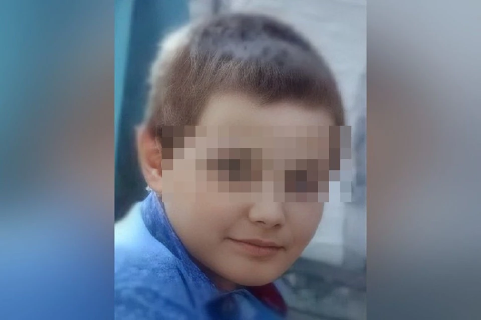 Под Новосибирском завершились поиски 12-летнего школьника, который не вернулся с прогулки домой. Фото: "ЛизаАлерт НСО".