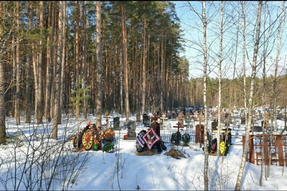 Фото: "Белые Берега", vk.com.