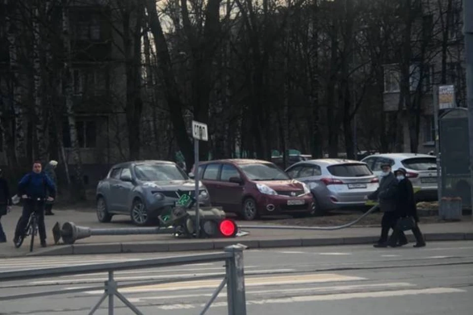 В Петербурге сильный ветер повалил светофор и дорожный знак