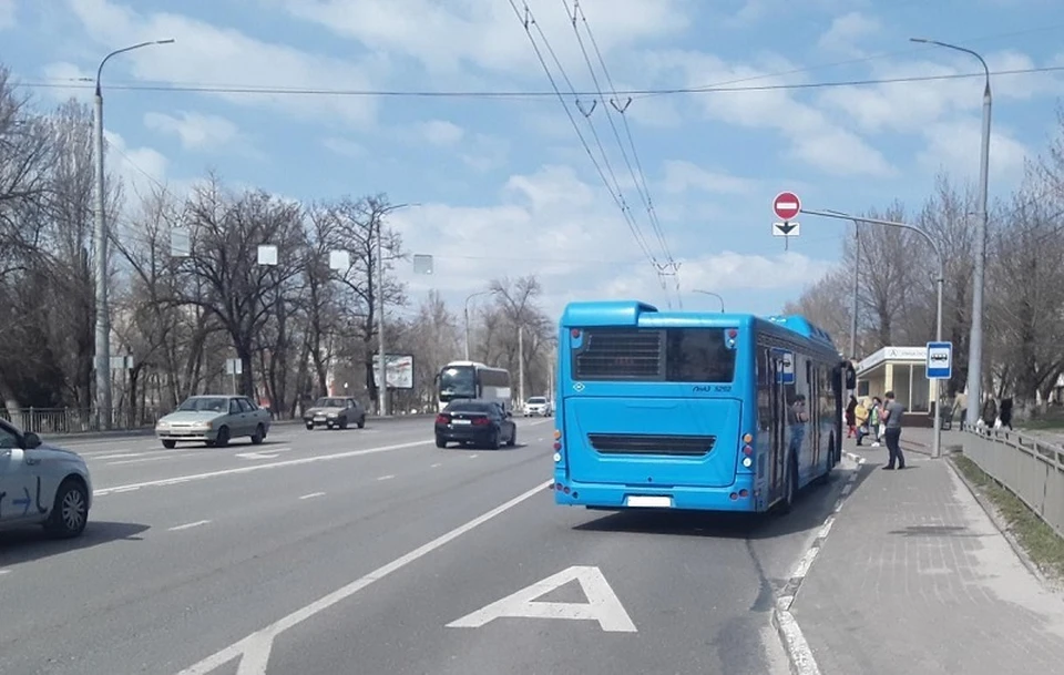 Белгород новости телеграм жесть. Три автобуса. 17 Автобус Белгород. Автобус Парус. Жириновский автобус.