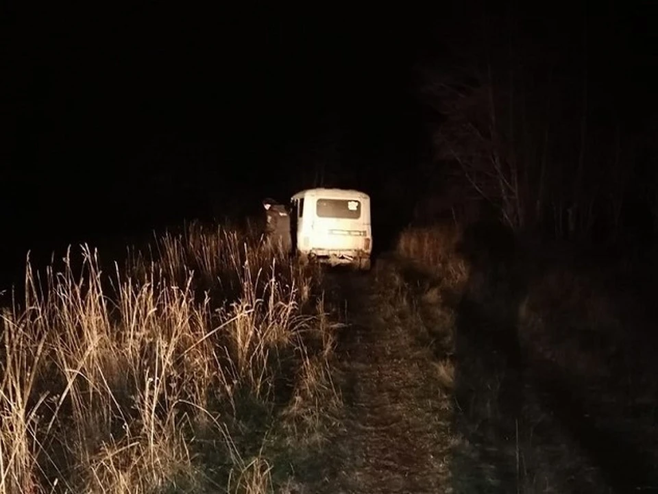 Девочка шла по обочине, когда в нее прилетел УАЗ. Фото: ОГИБДД по Ашинскому району