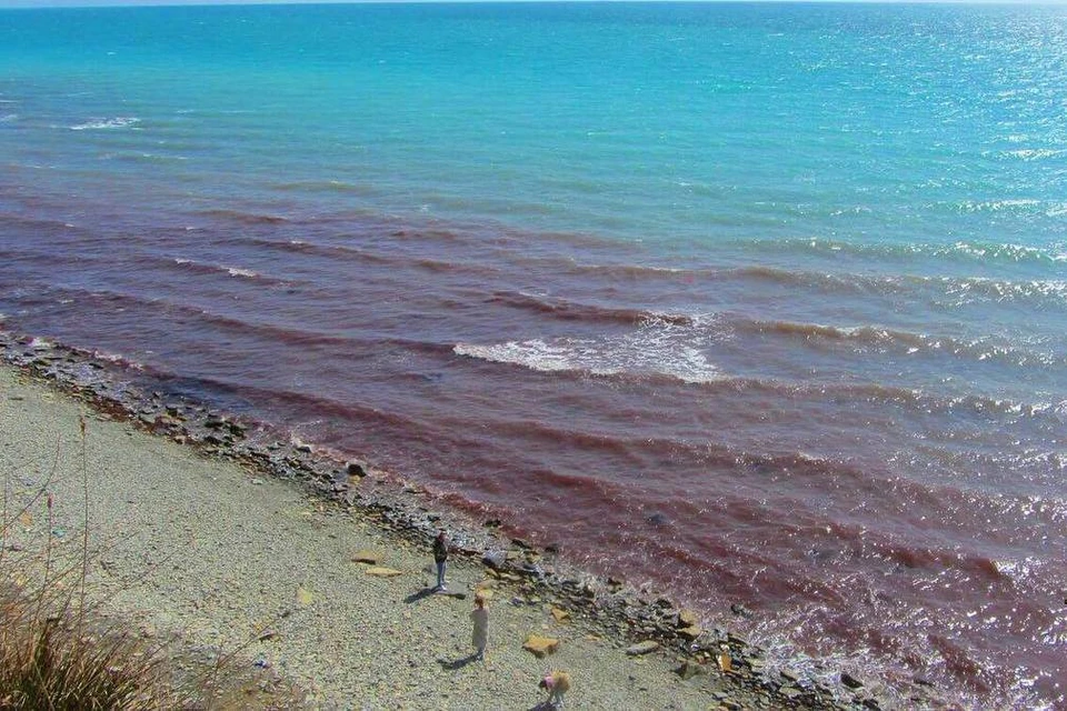 Черное море приобрело неестественный оттенок. Фото: t.me/anapa_post