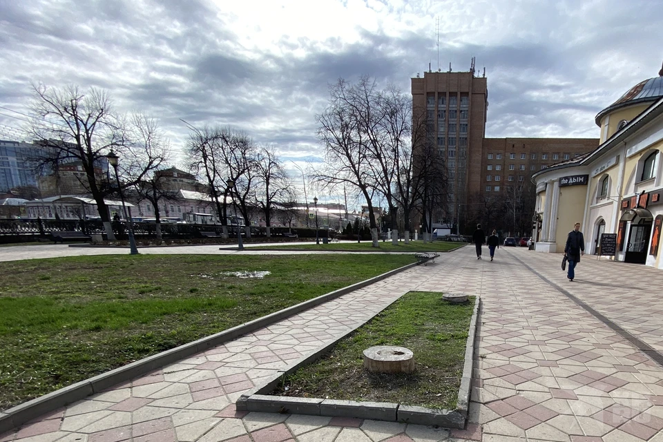 Мэрия сообщила, что пни в центре Рязани корчевать не собираются.