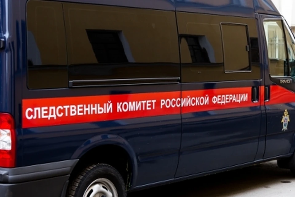 Фото: Пресс-служба СУ СК РФ по РМ