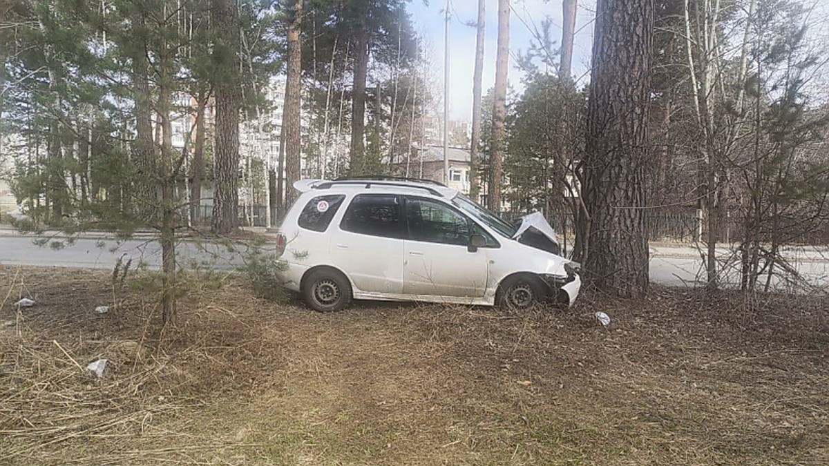 Два жителя Томской области пострадали в Северске из-за ДТП - KP.RU