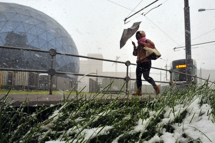На Москву обрушатся финские заморозки: рассказываем, какая погода накроет столицу в начале мая