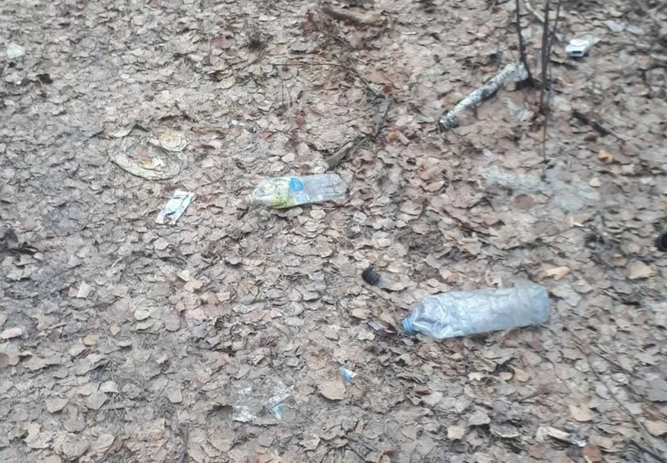 Жители тюменского Мыса жалуются на мусор в городском лесу.