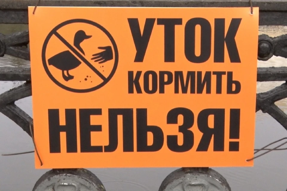 В парке уже установили специальные запрещающие таблички. Фото: admkirov.ru