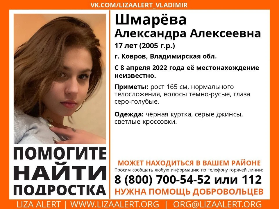 ориентировка отряда "Лиза Алерт"