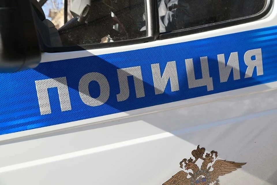 Он ловил щуку, окуня и леща
