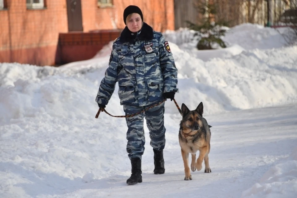 В Комсомольске-на-Амуре на ночь глядя «заминировали» школы и детсады