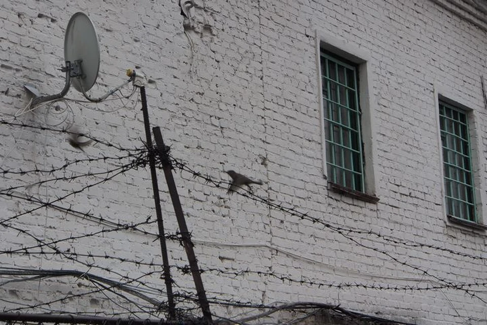 Гражданин Узбекистана в Тульской области был осужден на 18 лет особого режима