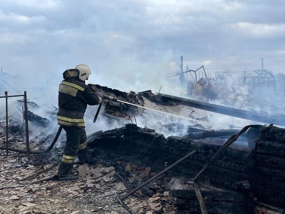 Пожары удалось локализовать. Фото: МЧС России по Омской области.