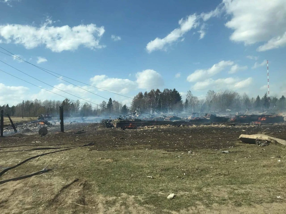 В Красноярском крае из-за природных пожаров сгорели 350 домов. Фото: Илья Зайцев