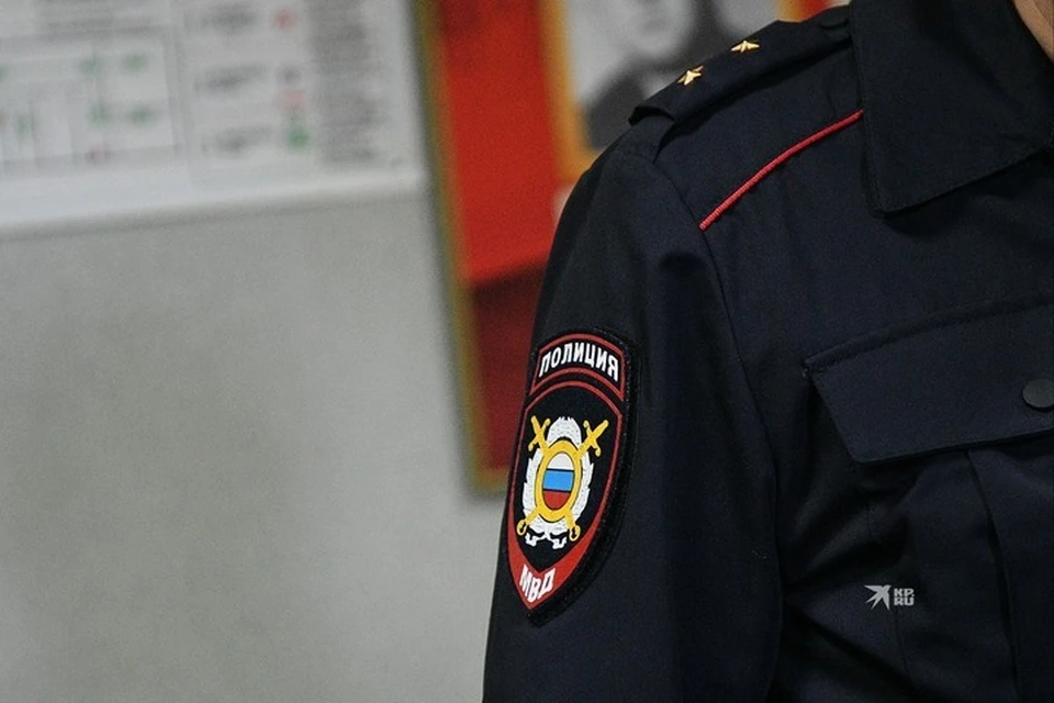 В полиции возбудили уголовное дело по статье «Кража». До суда мужчину заключили под стражу