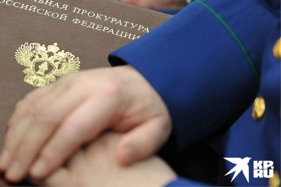 Прокуроры обнародовали свои декларации.
