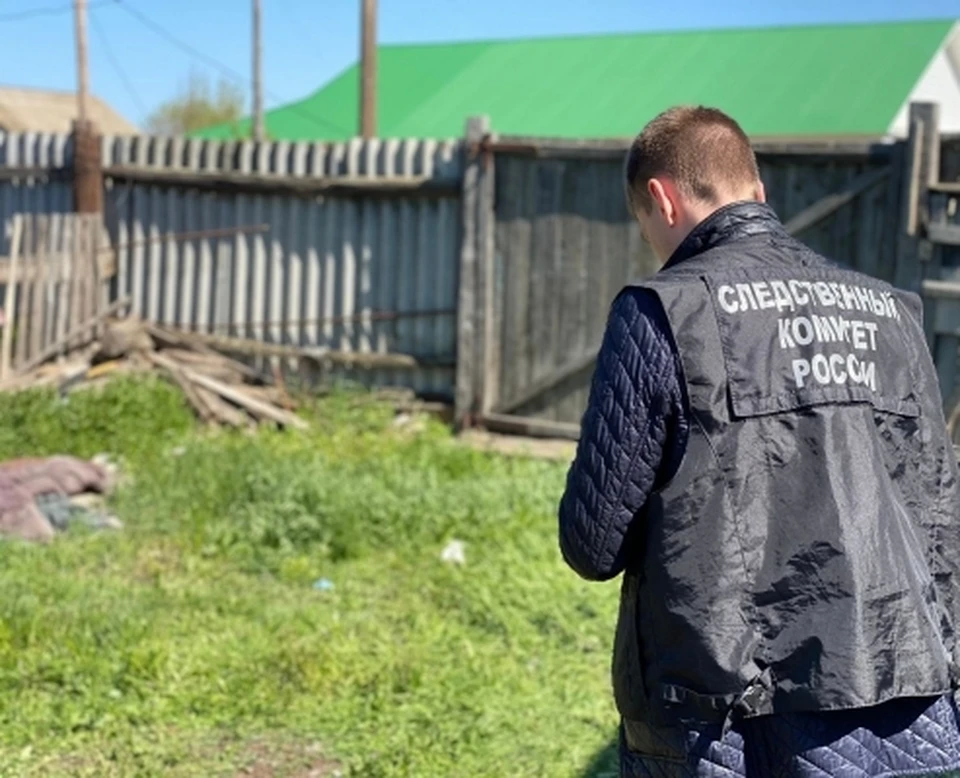 Фото: СУ СК по Саратовской области