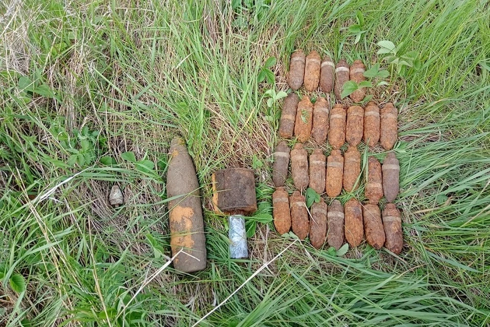 В Липецкой области уничтожили взрывоопасные предметы времен Великой Отечественной войны