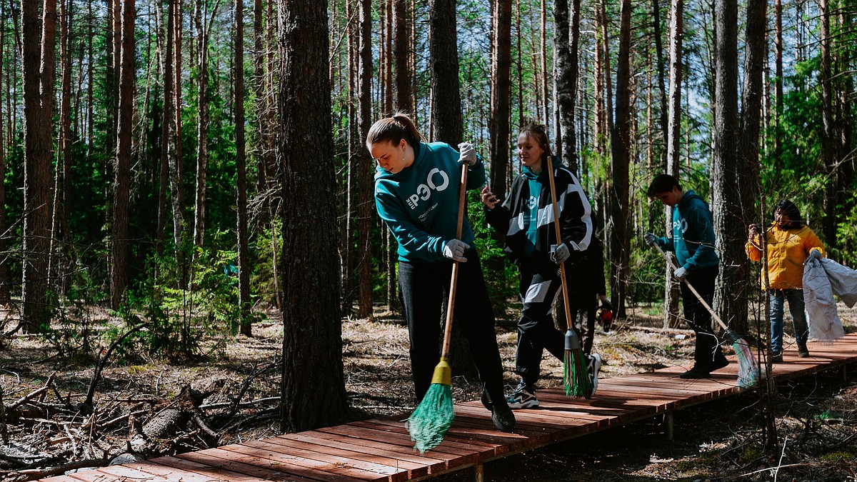 Зеленый десант: как эковолонтеры наводят чистоту по всей стране - KP.RU