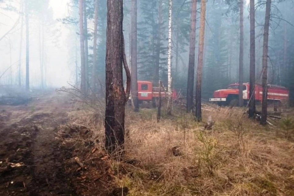 Село Буря в Зиминском районе спасли от лесного пожара