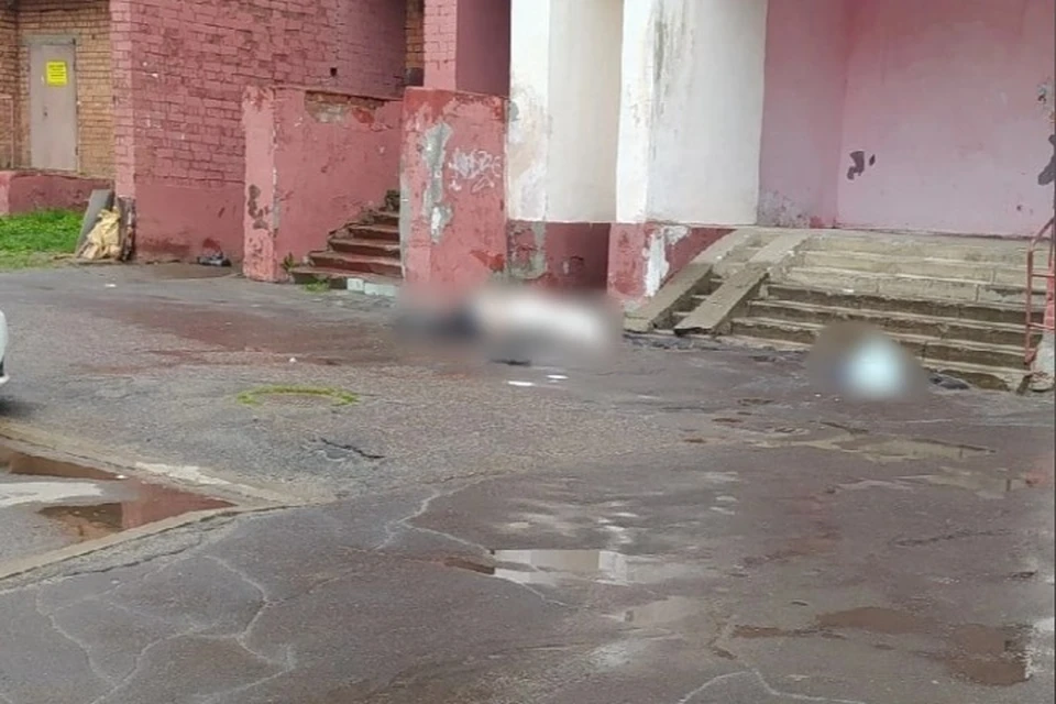Труп нашли под окнами многоэтажки в Ярославле. ФОТО: группа "Подслушано в Ярославле" ВКонтакте