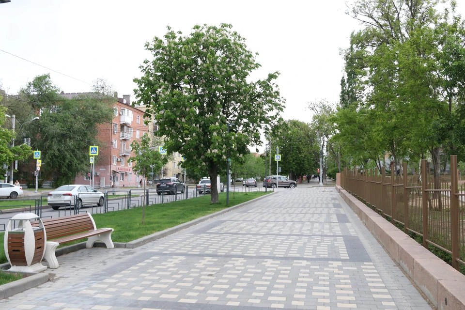 На Титова высадили 600 растений. Фото: Администрация Волгограда.