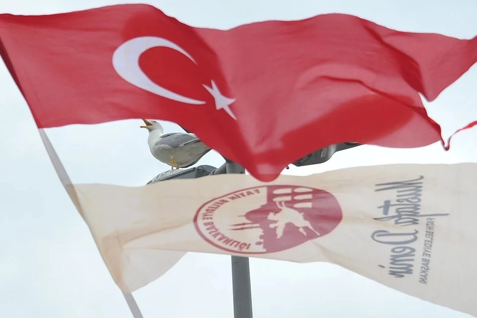 Турция заблокировала переговоры о вступлении Финляндии и Швеции в НАТО