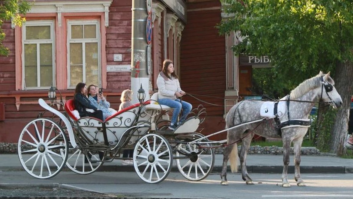 Как будет ходить транспорт в «Ночь музеев» в Барнауле - KP.RU