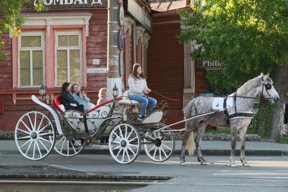 Барнаульцев просят быть внимательными