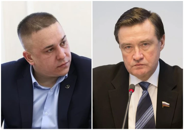 Сенаторы от Ульяновской области Гибатдинов и Рябухин показали свои доходы
