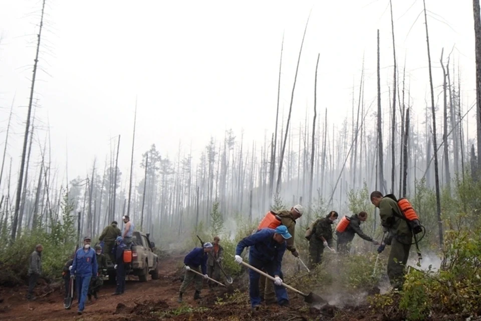 Площадь лесных пожаров в Иркутской области сократилась на 5,1 тысяч гектаров