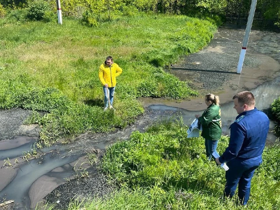 В месте загрязнения взяли пробы. Фото с Телеграмм-канала регионального департамента природных ресурсов и экологии.