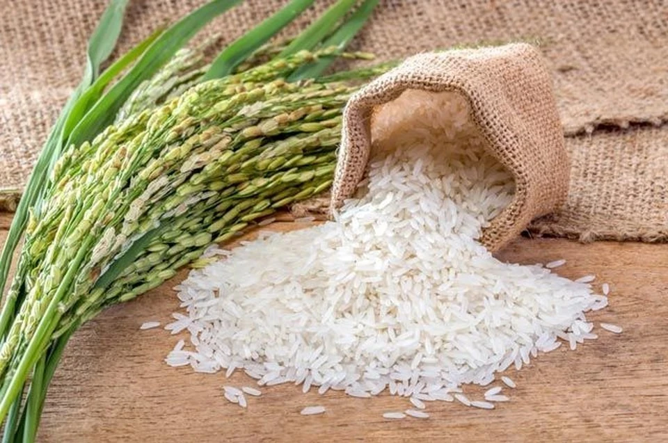 Минсельхоз России предложил ввести временный запрет на экспорт риса