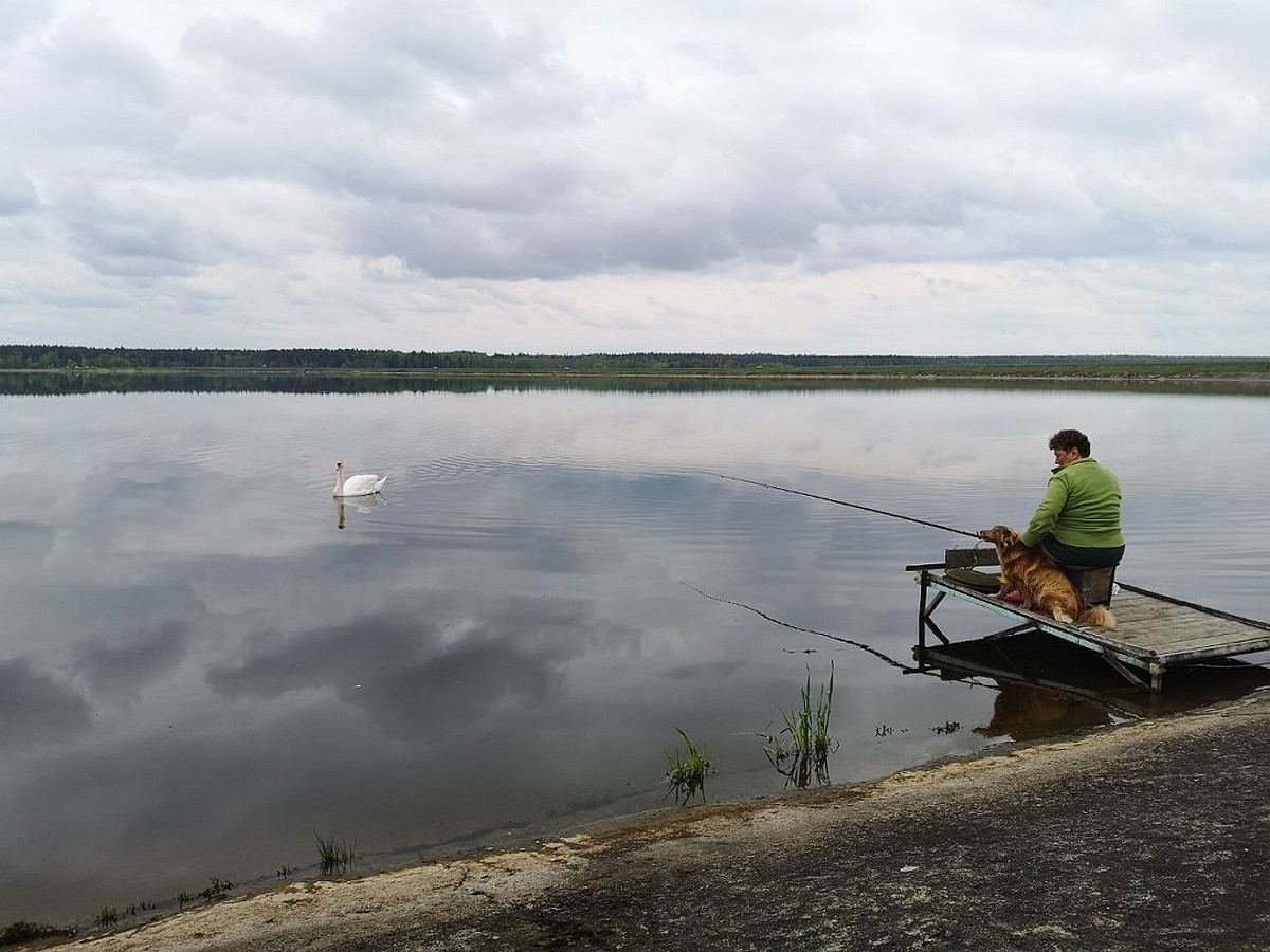 Отдых на Вилейском водохранилище 2022: во сколько обойдется номер в  агроусадьбе и гостинице, аренда дачи или дома, место для палатки - узнали  цены - KP.RU