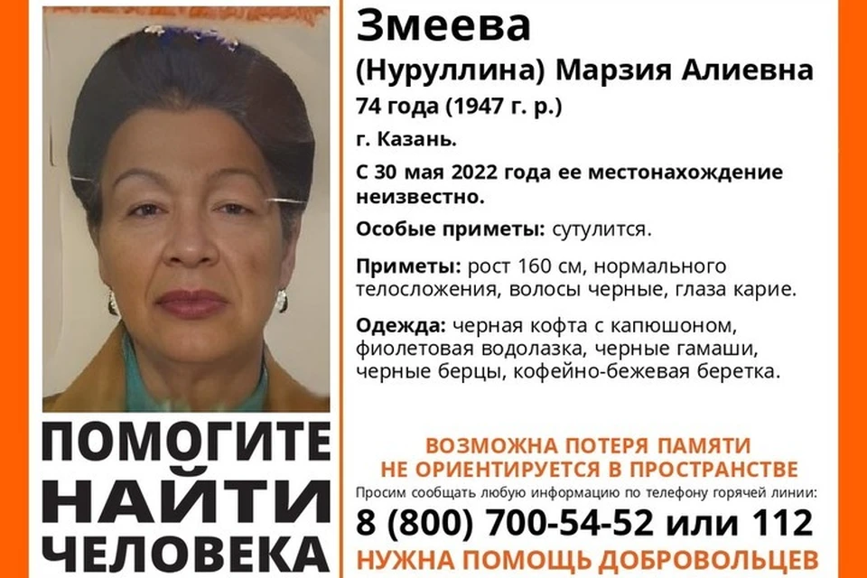 Фото: ПСО «Лиза Алерт».