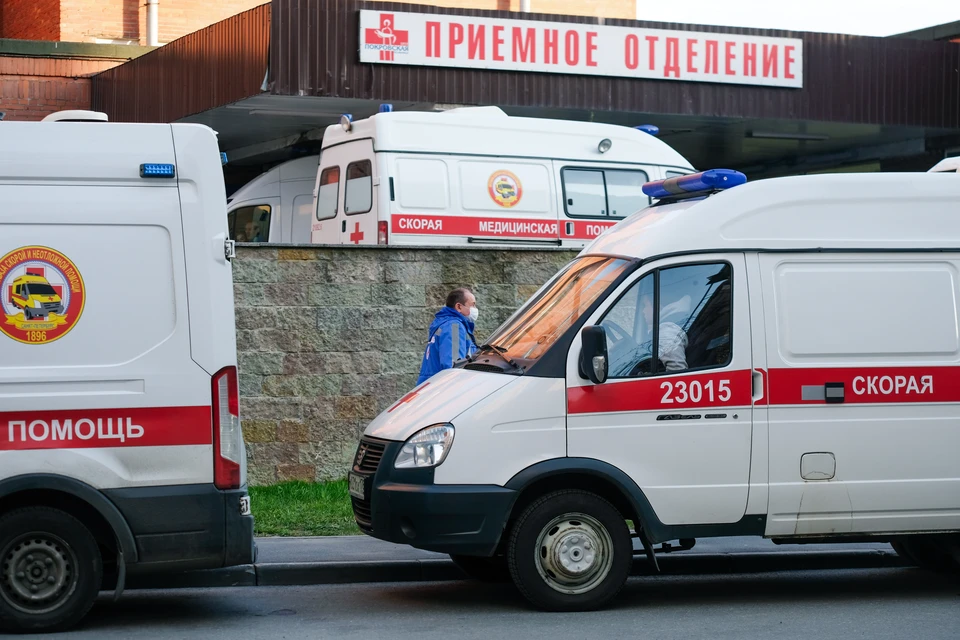 Собаки покусали маму с ребенком на детской площадке.