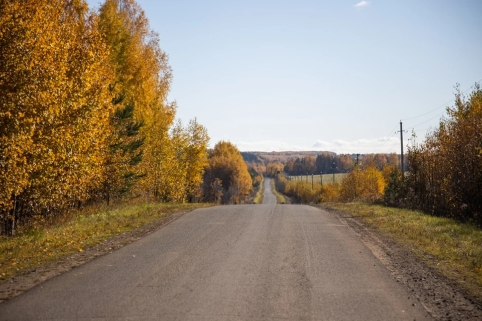 В целом на дороги в Воронежской области потратят 17 млрд