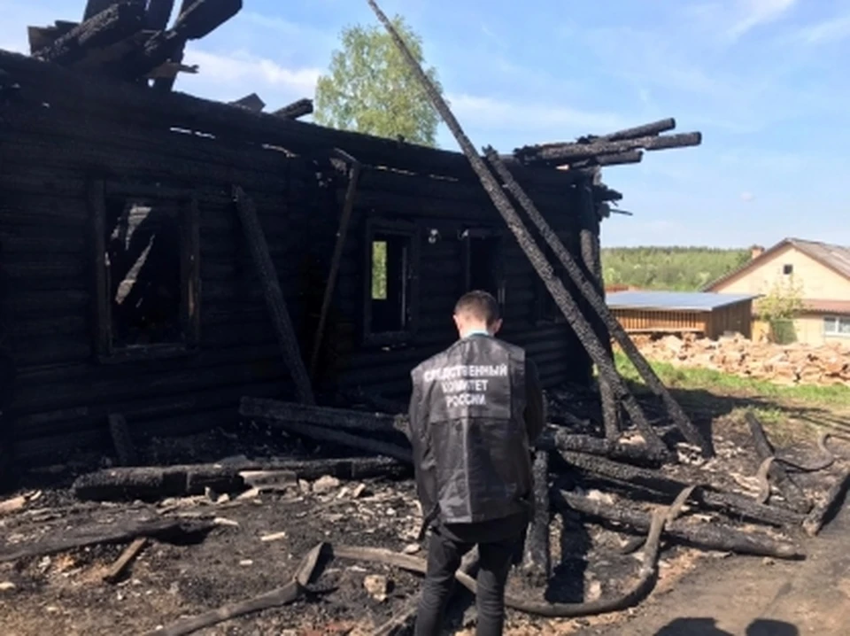 Фото: пресс-служба СУ СК России по Костромской области