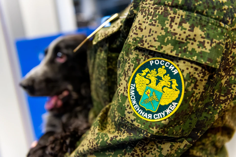 Московский предприниматель ввез в Приморье партию товаров из КНР и занизил их стоимость.