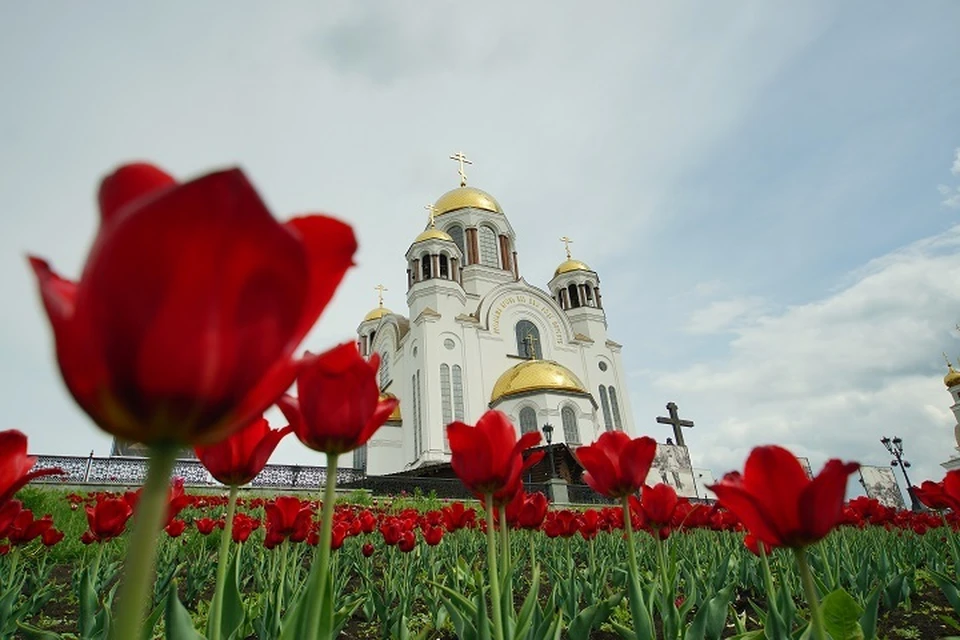 Красно белые церкви. Храм на крови Екатеринбург с цветами. Храма-на-крови в Омске. Храм на крови Екатеринбург фото внутри.