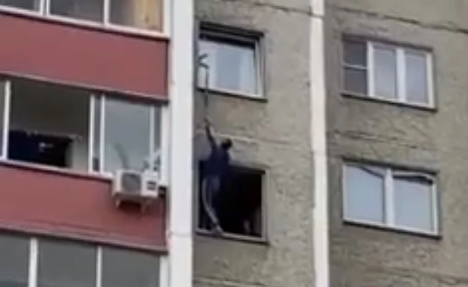 Кошка громко кричала на весь двор. Фото: Нетипичный Челябинск / vk.com