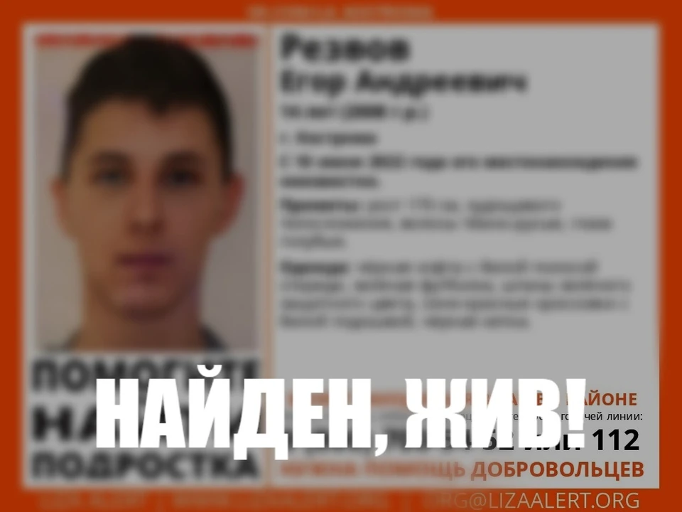 Фото: ДПСО "Лиза Алерт" Костромской области