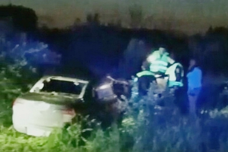 Под Ачинском дикий лось выскочил на дорогу, погибли два человека. Фото: «Ачинск, общественное движение»