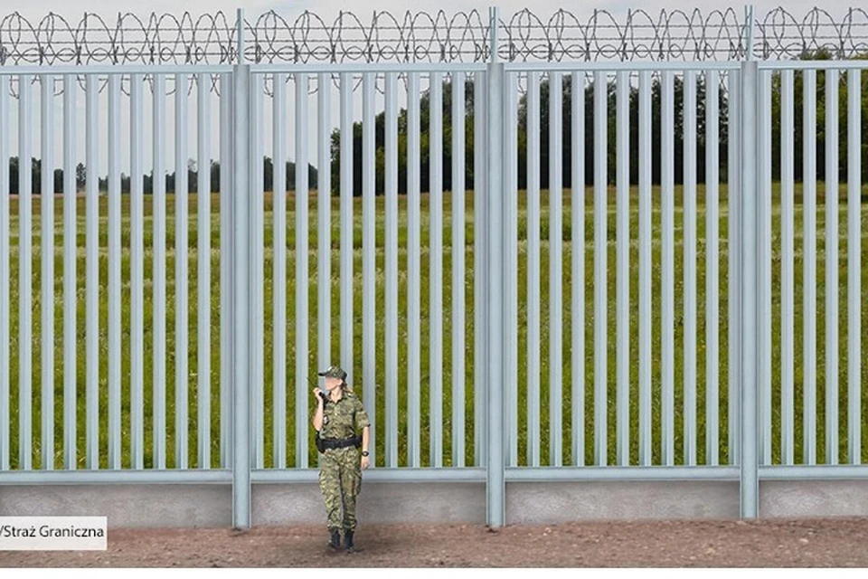 Беларусь пожаловалась в ЮНЕСКО на польский забор в Беловежской пуще. Фото:strazgraniczna.pl