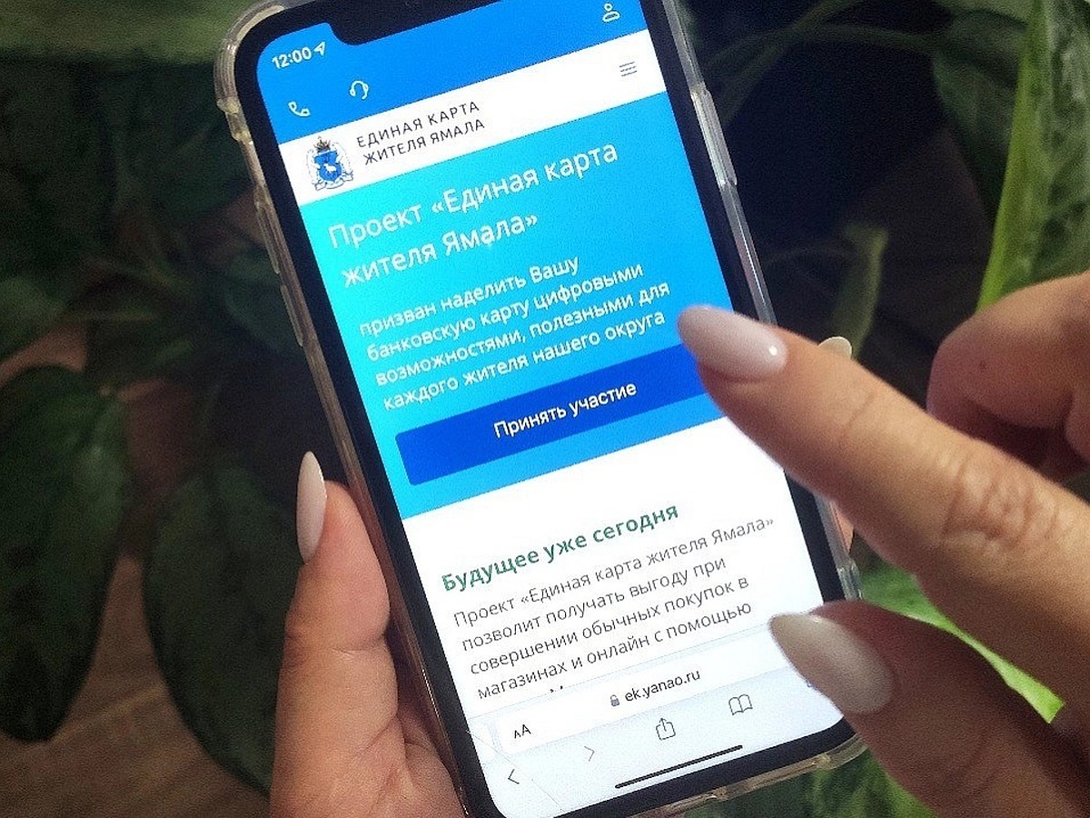 Единой картой жителя Ямала пользуются уже более 1,3 тысяч получателей  социальных услуг - KP.RU